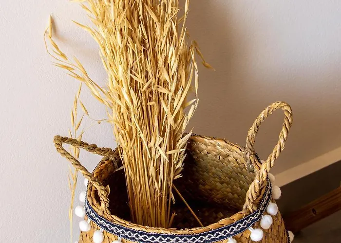 Platea Complex, Ammes 1 Bed Apartment, Aenos Open Plan Studio! *